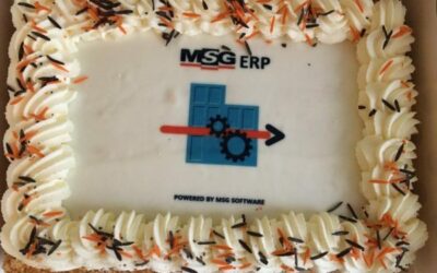 Software commisie, MSG ERP