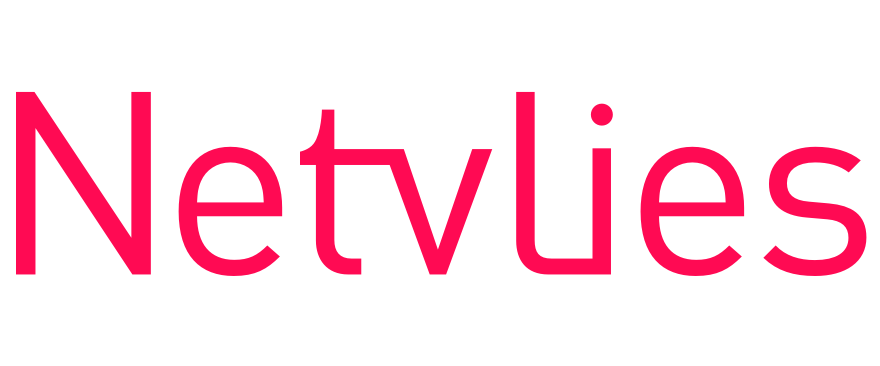 Netvlies logo partner